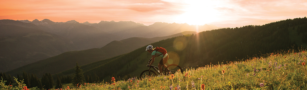 Biking_Summer