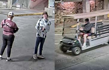 Golf  Cart Theft _Thumbnail