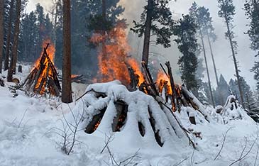 Pile burning_Thumbnail