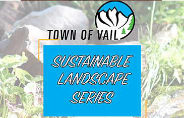 SustainableLandscapeSeries_thumbnail