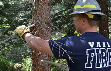 Fire Community Workday_thumbnail