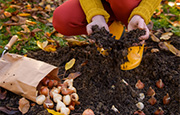 Person holding up gardening supplies amongst fall leaves